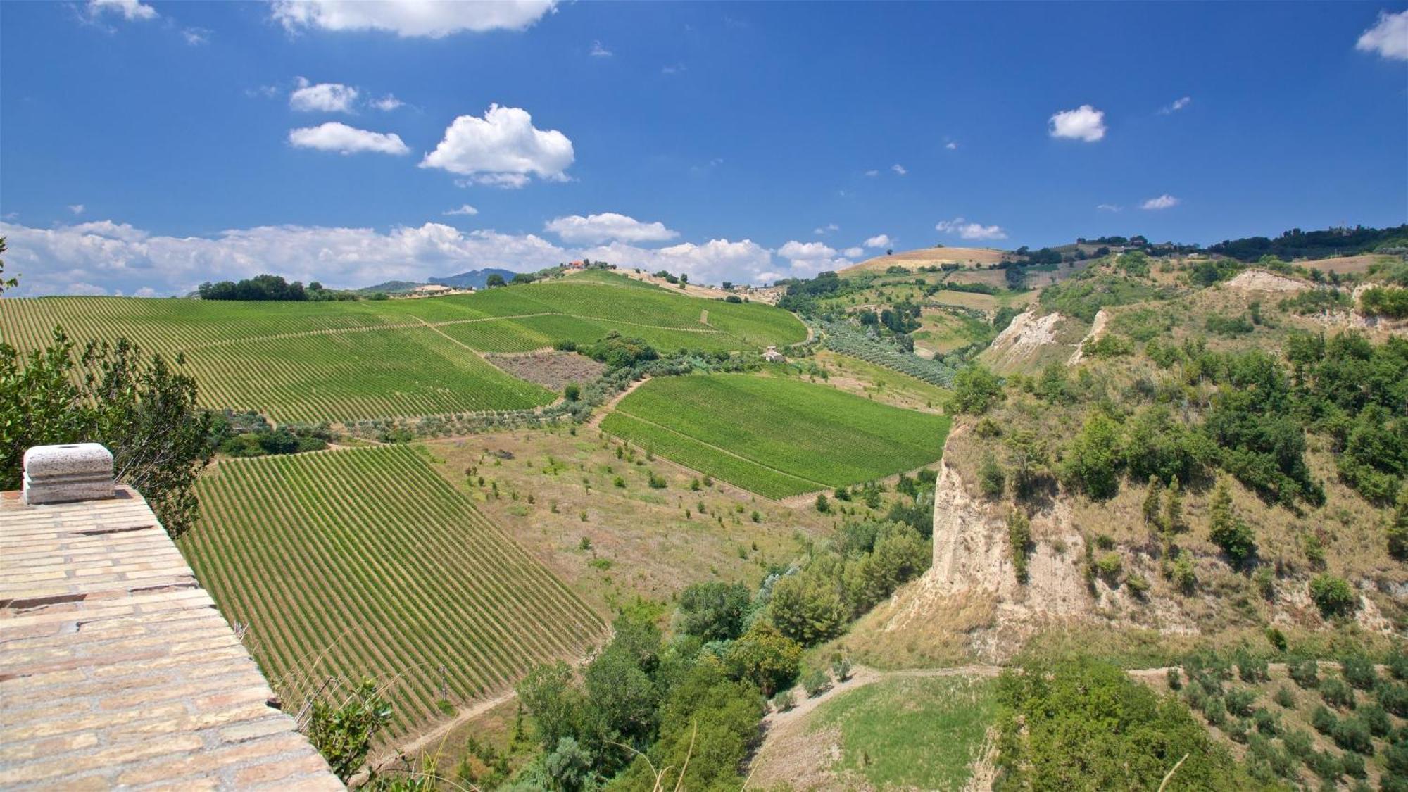 B&B In An 1800S Frescoed Villa With Panoramic Solarium And Historic Park - Villa Mastrangelo Colli del Tronto Luaran gambar