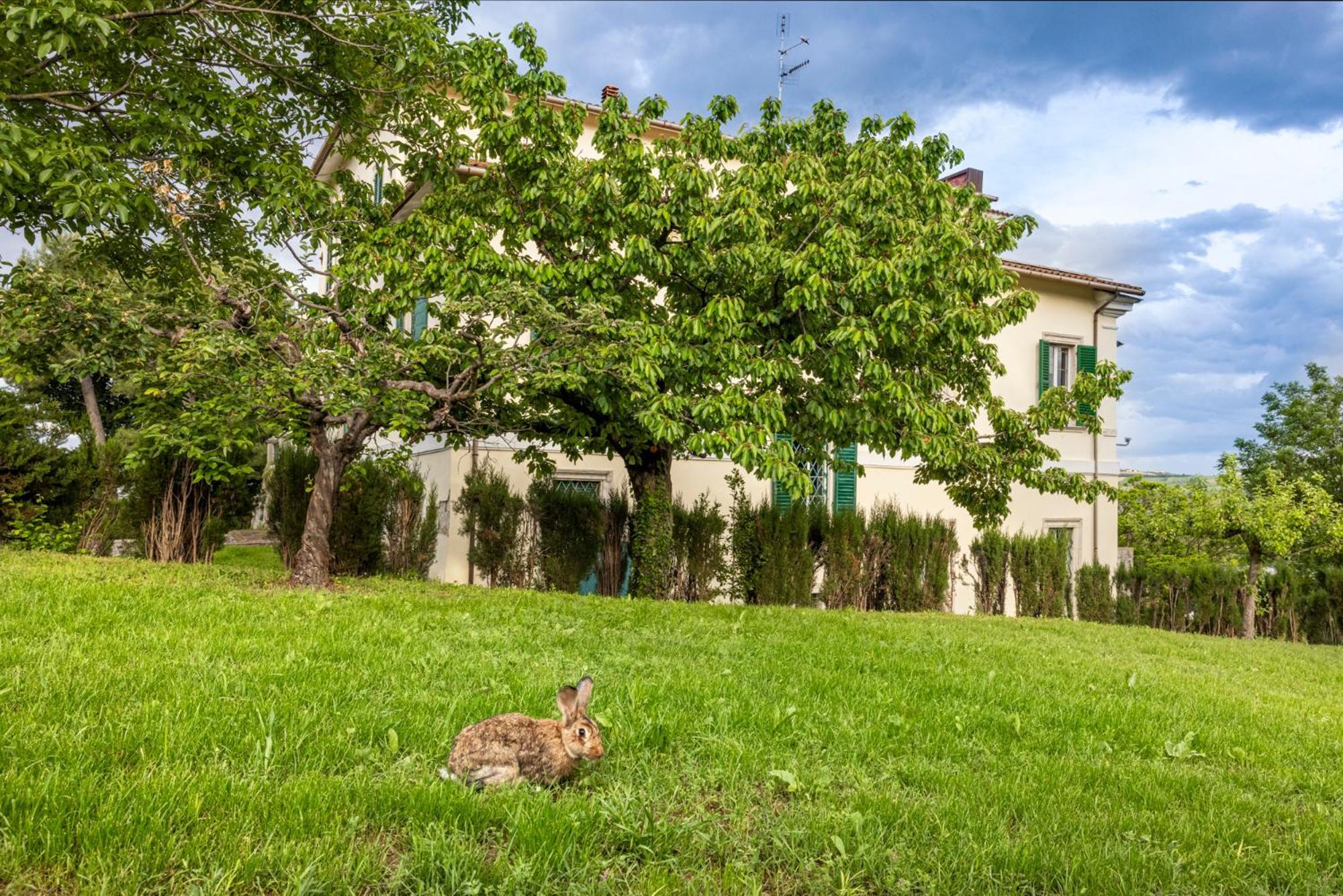 B&B In An 1800S Frescoed Villa With Panoramic Solarium And Historic Park - Villa Mastrangelo Colli del Tronto Luaran gambar